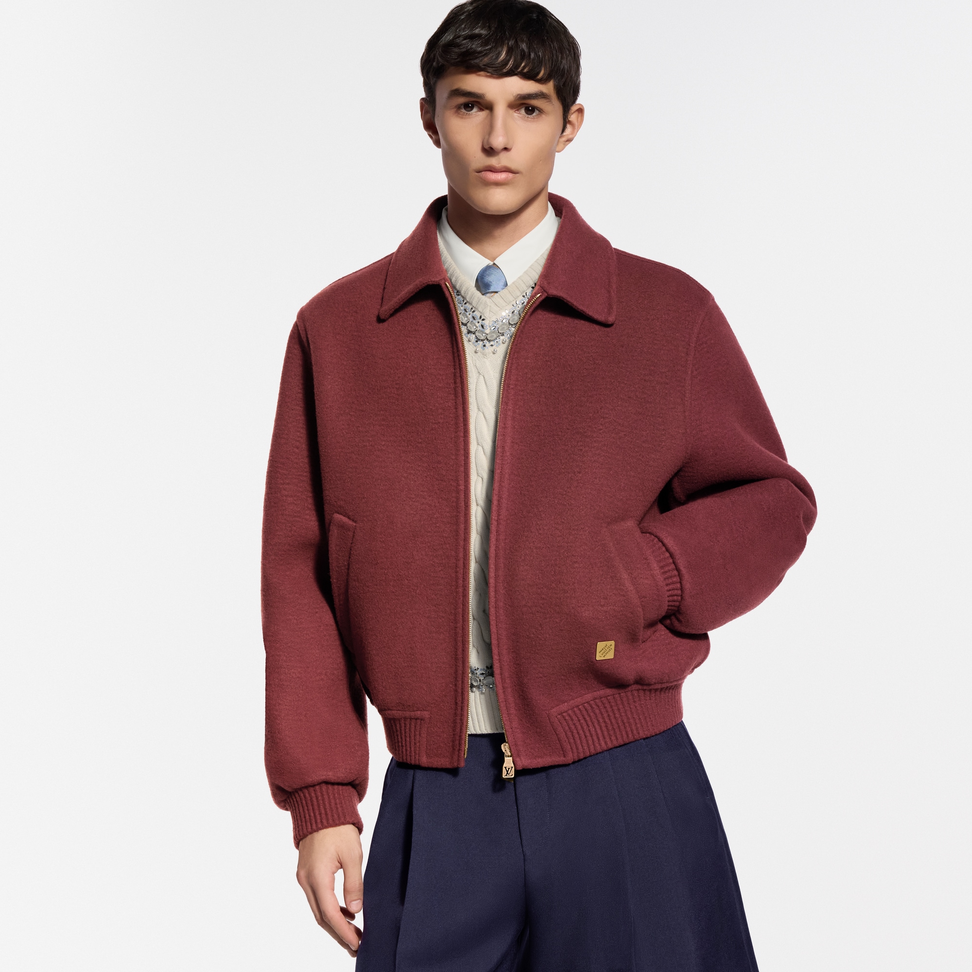 Cashmere Mix Double Face Blouson - New - For Men | LOUIS VUITTON ®